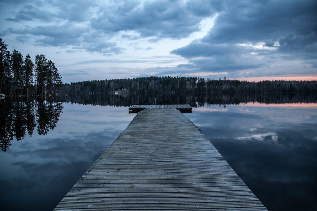 We support companies during the early preparation and application stage, helping them understand relevant opportunities, requirements, and ecosystem entry points in Finland.